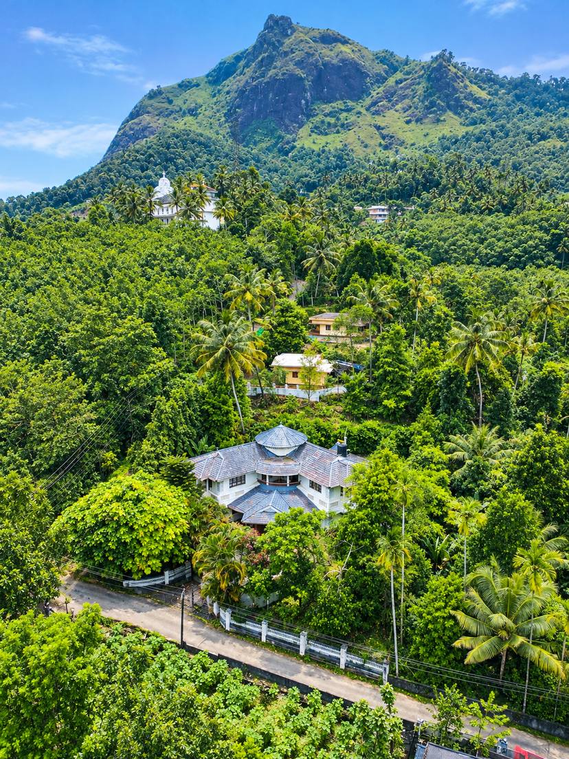 The bungalow seen from the air, its blue-grey roof among coconut palms and trees, with a rocky green peak rising behind