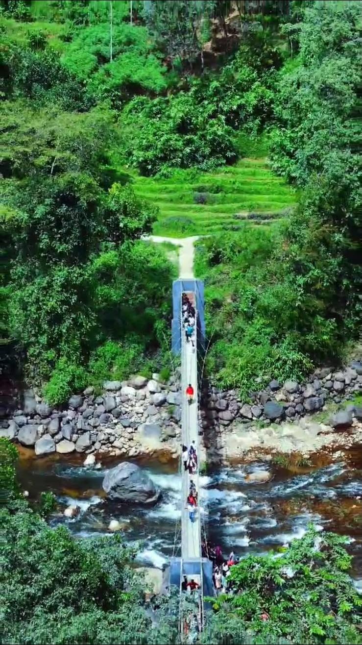 A hanging footbridge seen from above, crossing a rocky stream in the forest